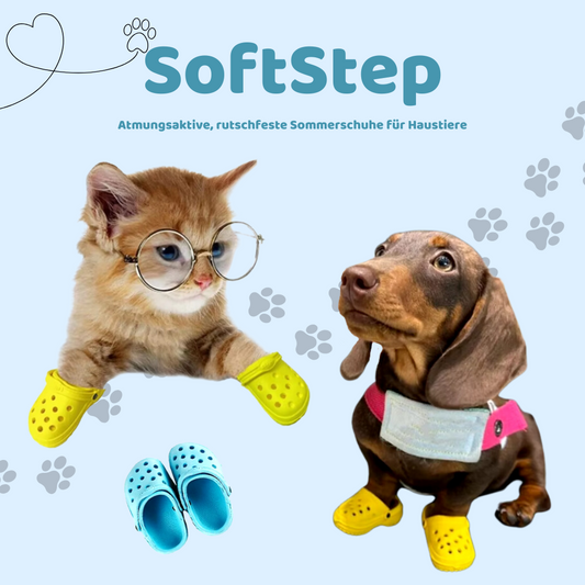 SoftStep